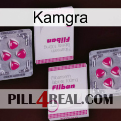 Kamgra 33